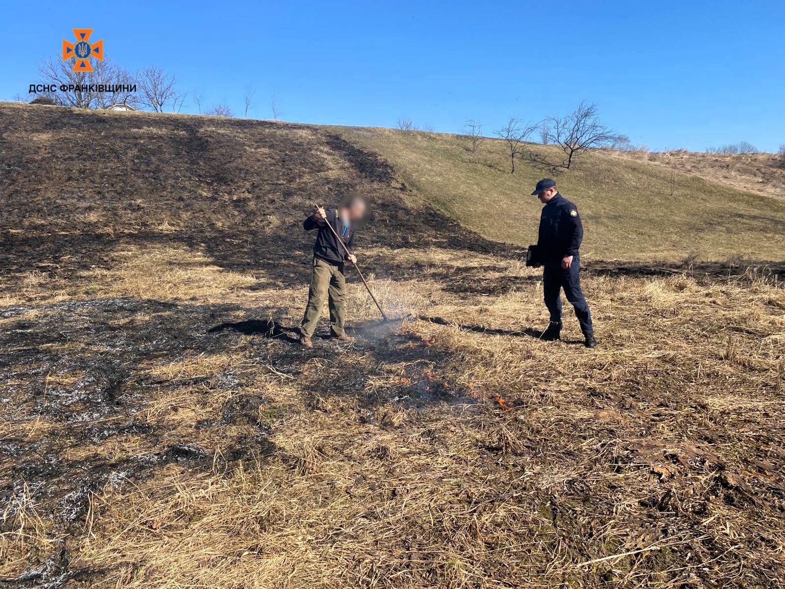 суха трава полії (1)
