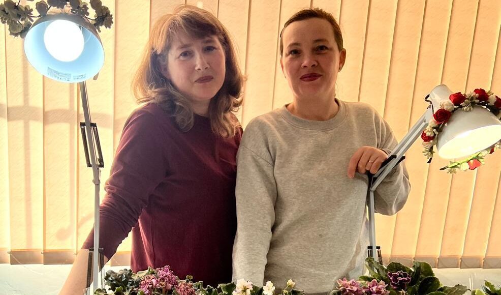 виставка фіалок