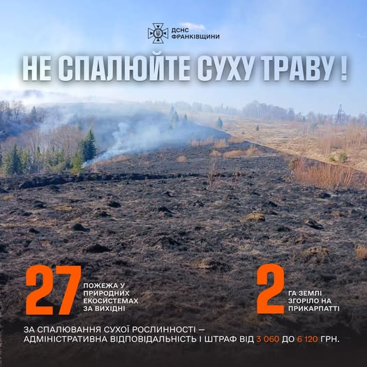 663337889_1247880034168024_461161562574257721_n