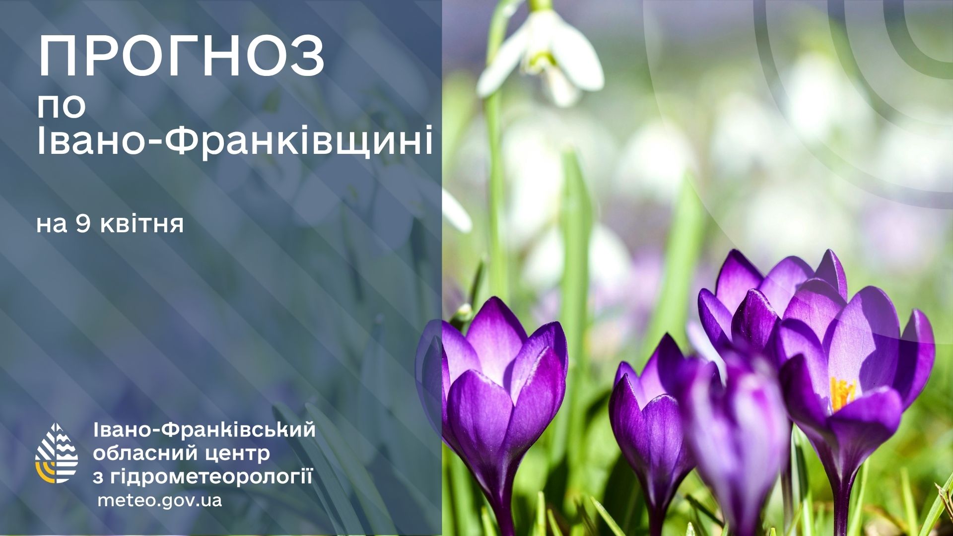 667907172_944668114728027_958467470517364823_n