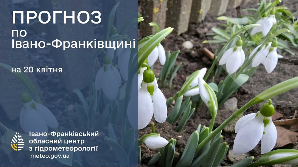 674258035_980551877755875_6588000324786940105_n