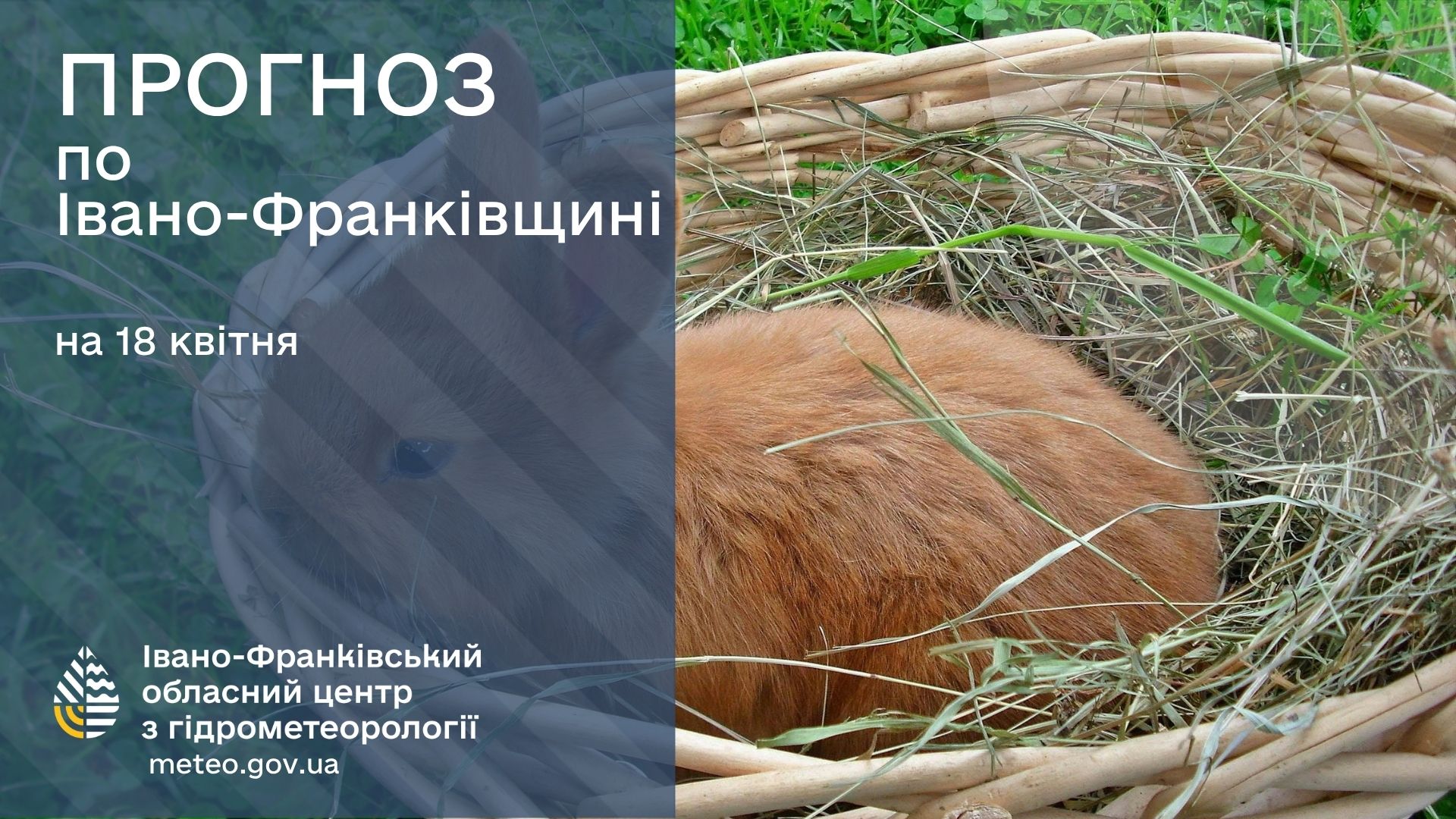 675243063_951421950719310_1473756091711362114_n