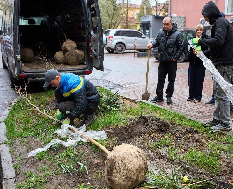 озеленення