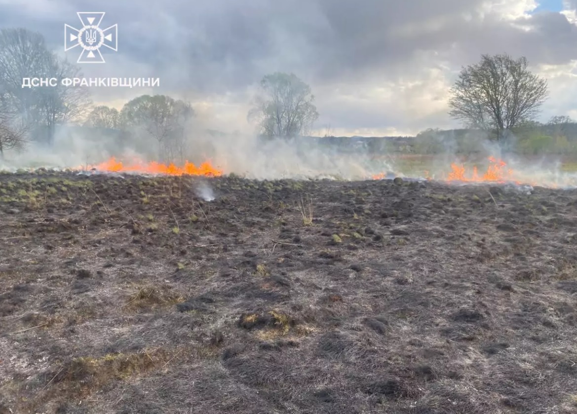 пожежа трава 1