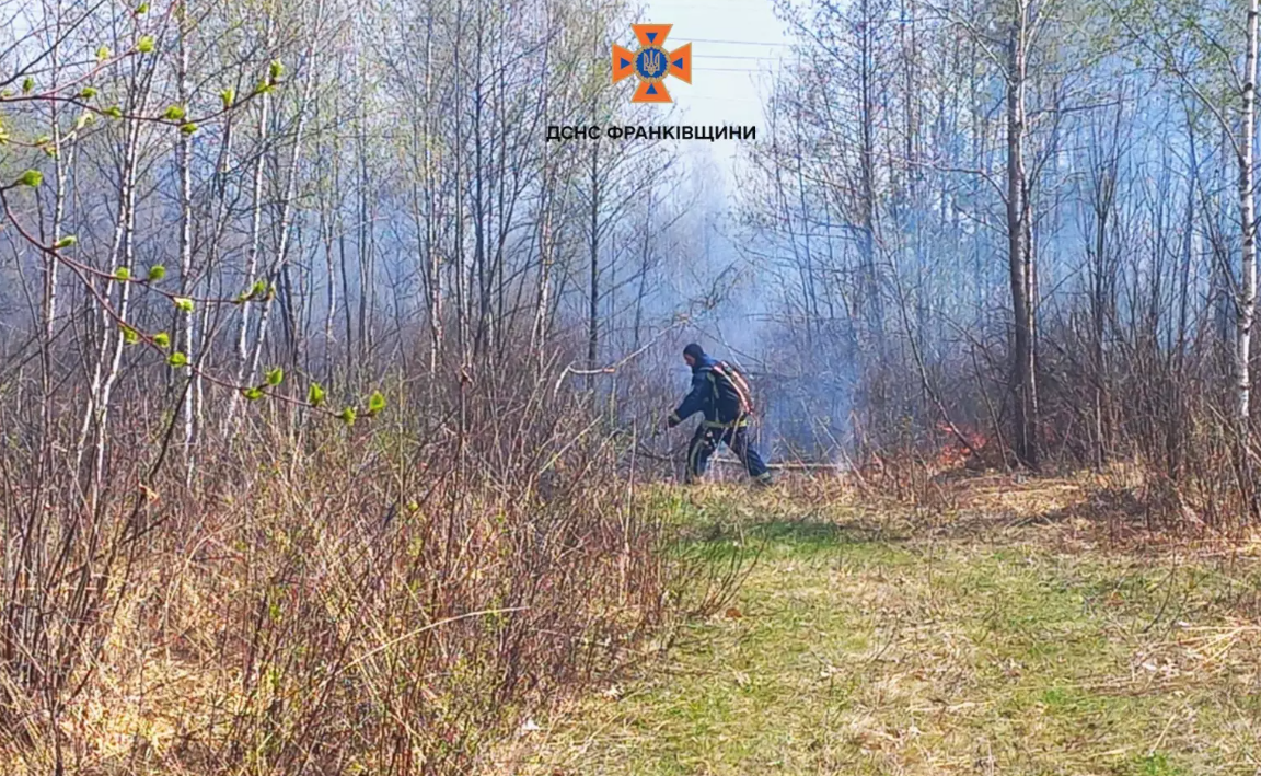 пожежі сухостою (3)
