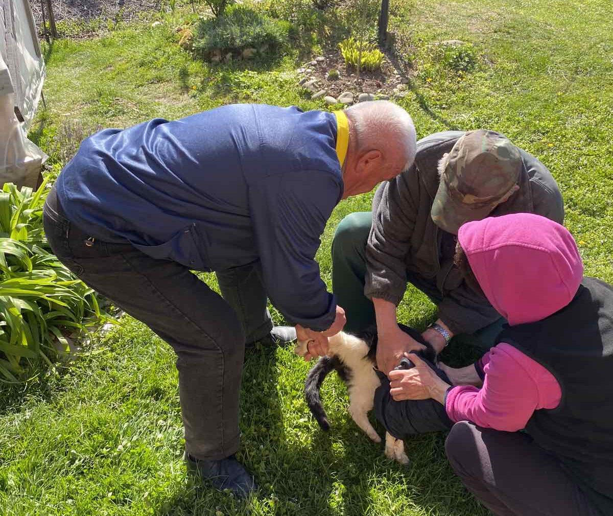 сказ вакцинація (2)