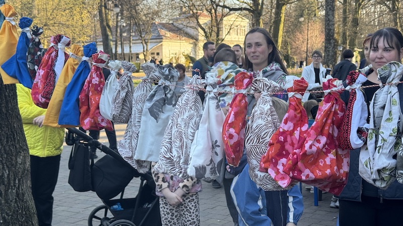 У Франківську на волю випустили майже 50 врятованих кажанів 1