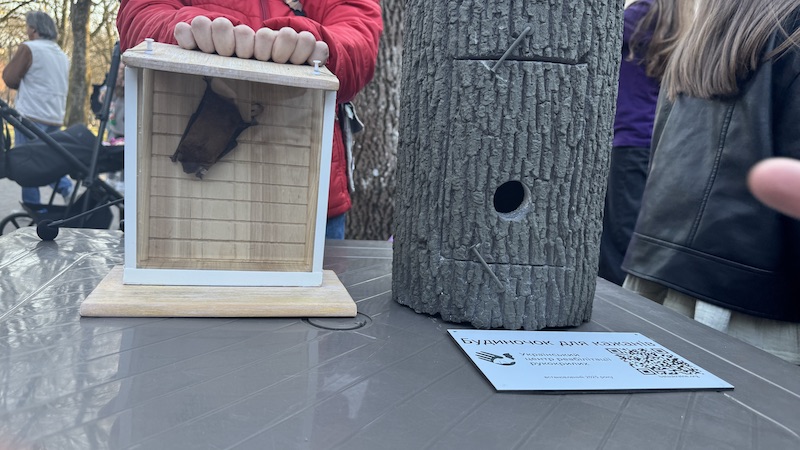 У Франківську на волю випустили майже 50 врятованих кажанів 4