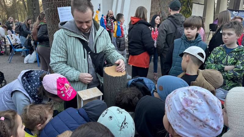 У Франківську на волю випустили майже 50 врятованих кажанів 6