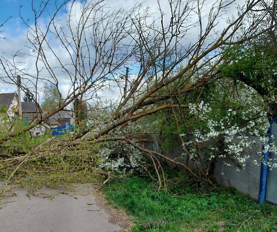 знеструмлення негода (3)