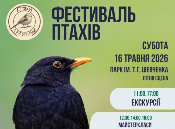 птахи