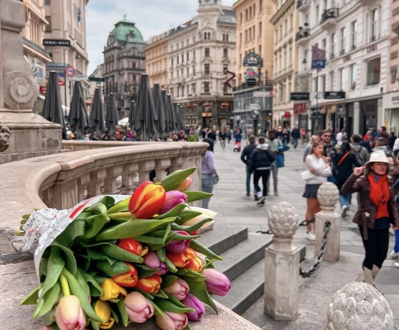 відень