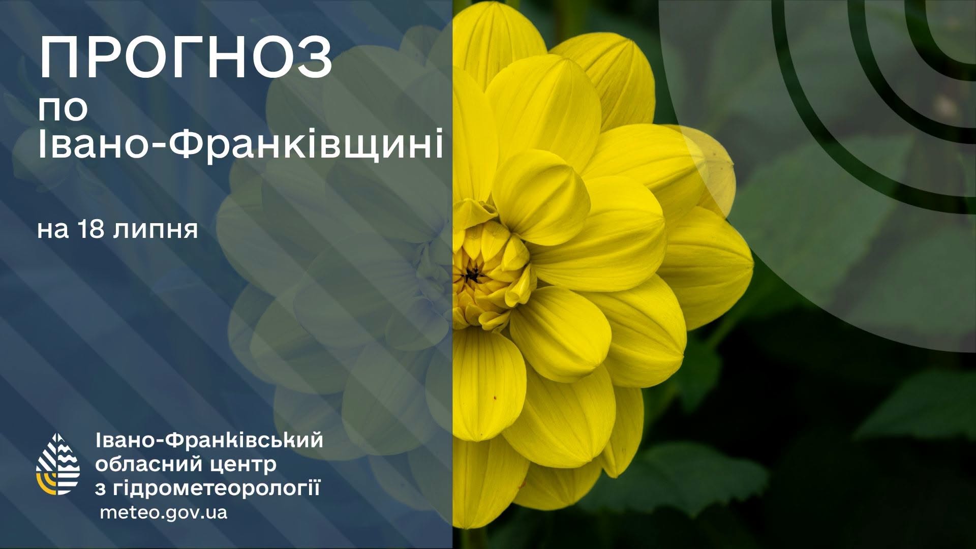 749652108_1318193580045239_6421831990308559628_n