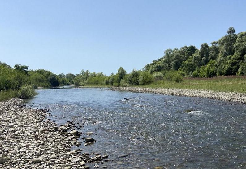 bystrycja