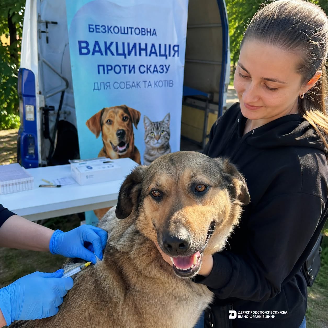 вакцинація собак
