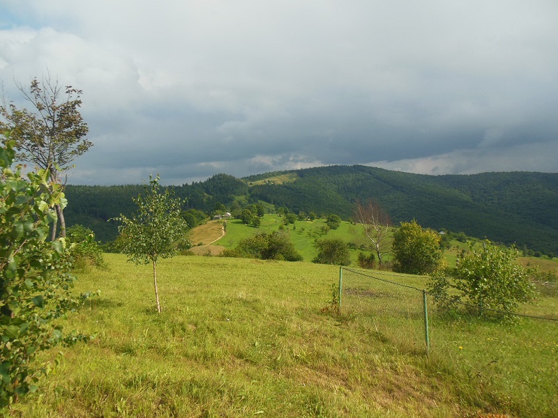 Карпати