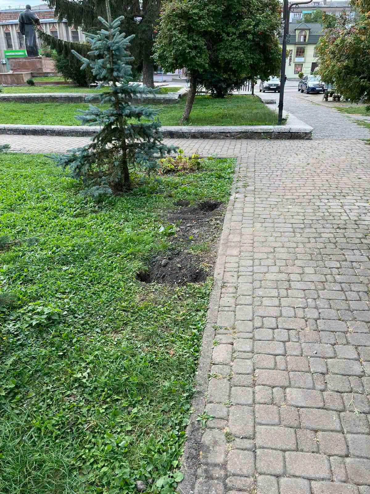 лавка