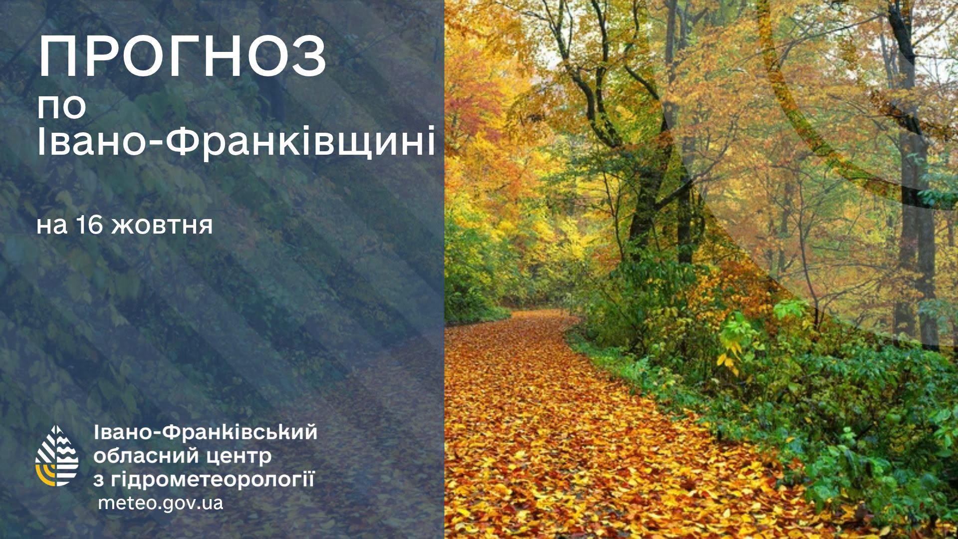 погода16