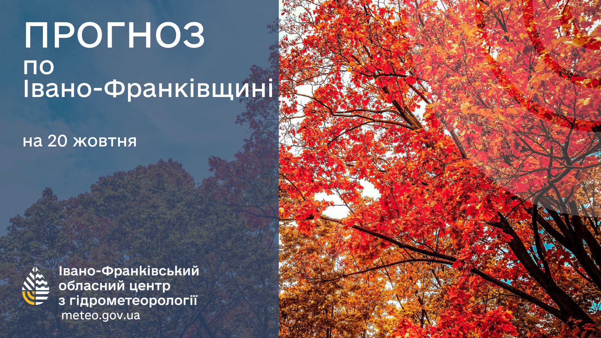 погода2010