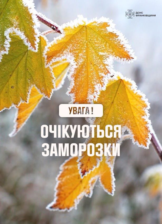 заморозки